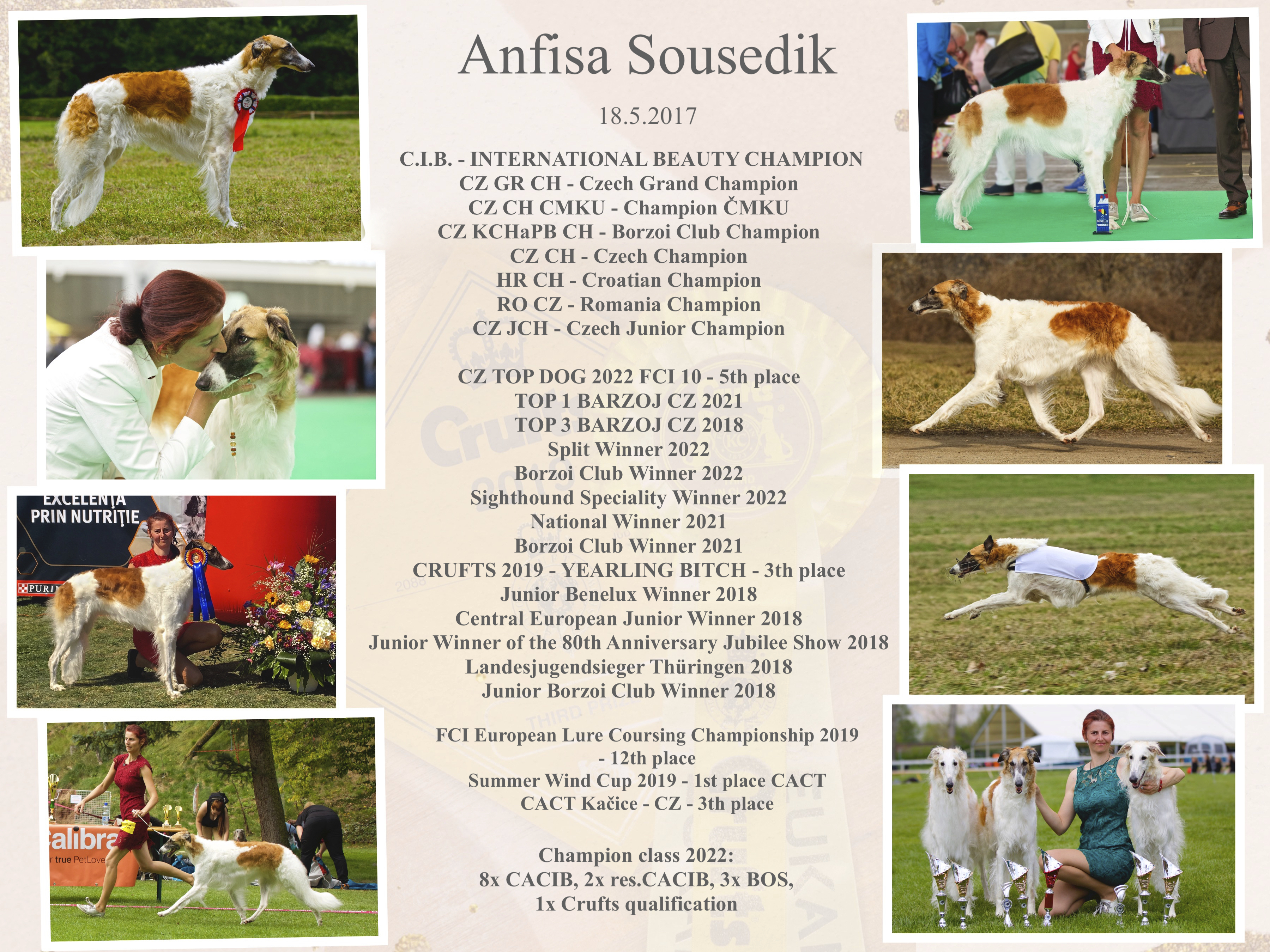 2023-01-01collagemustrfina2022