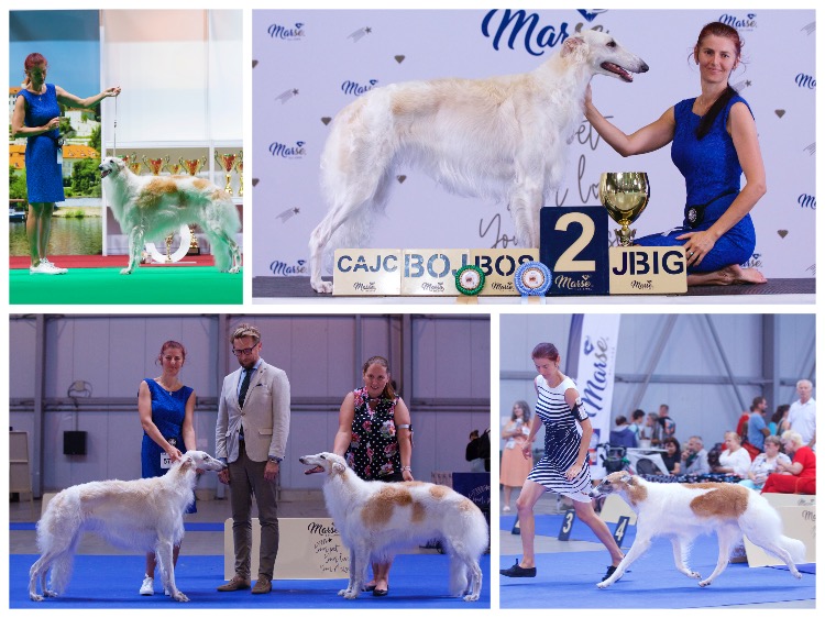 collage_2xcacibpraha2022