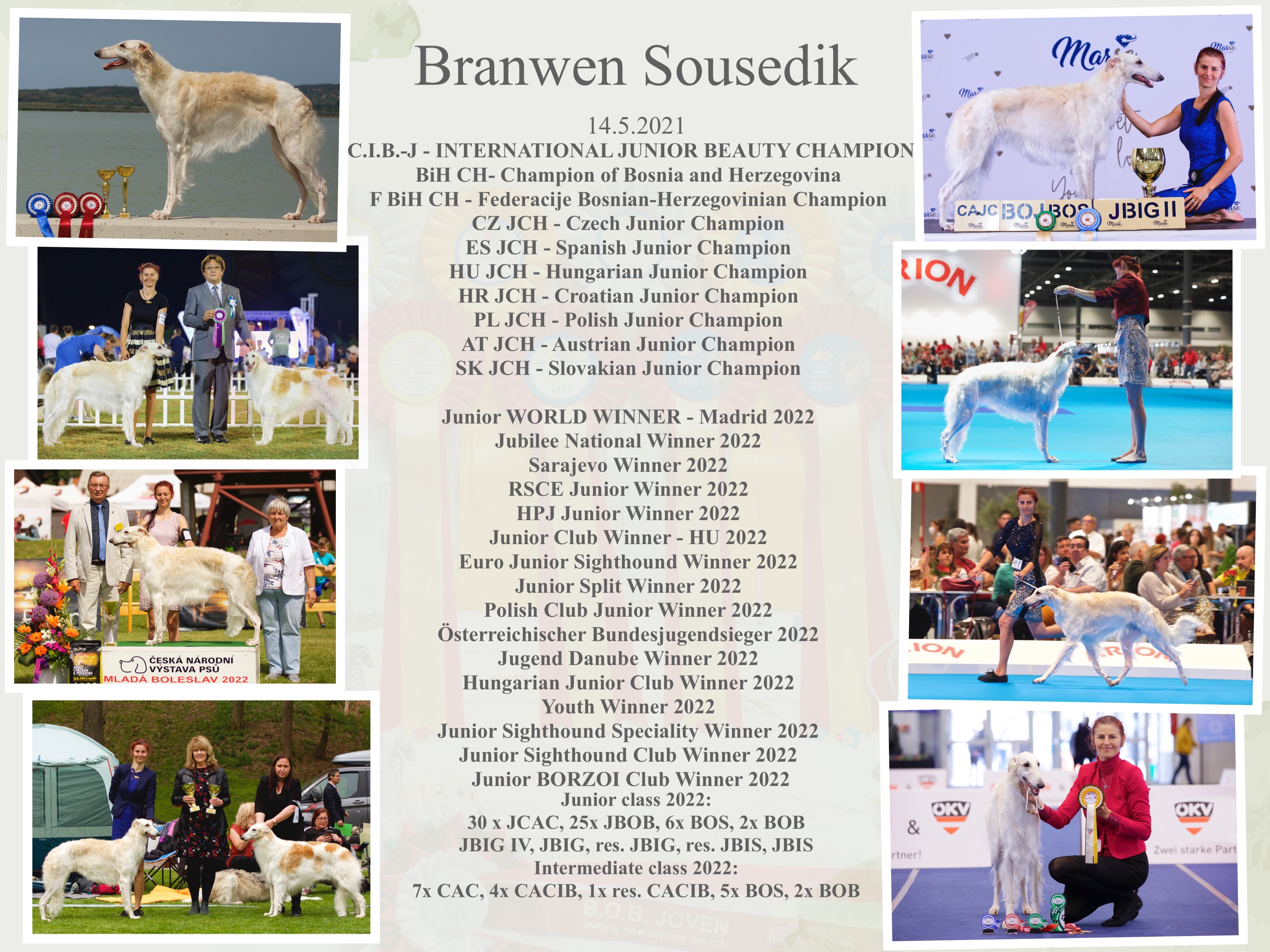 collagebranwen2022ii