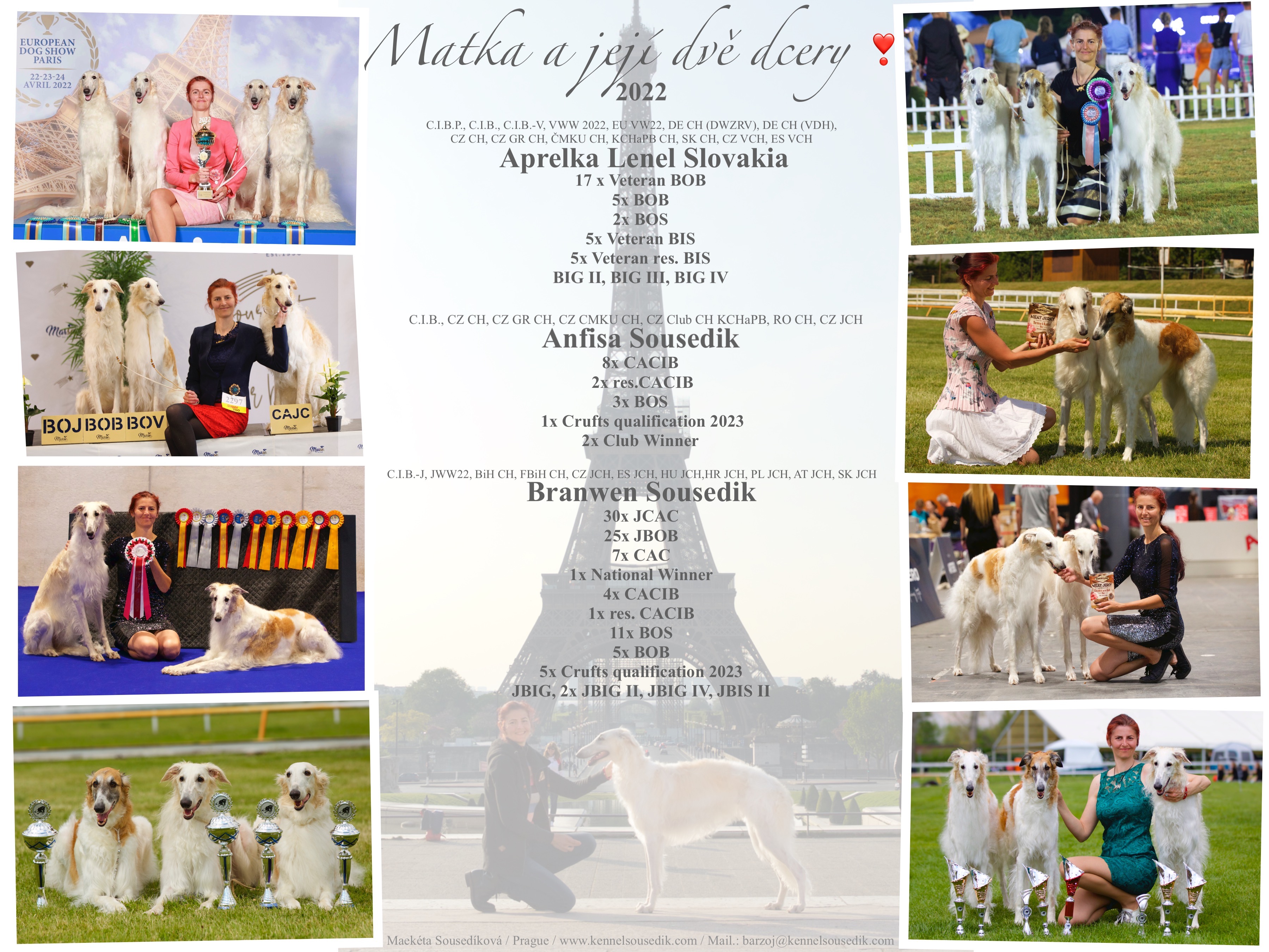 collageholky-2022mustr