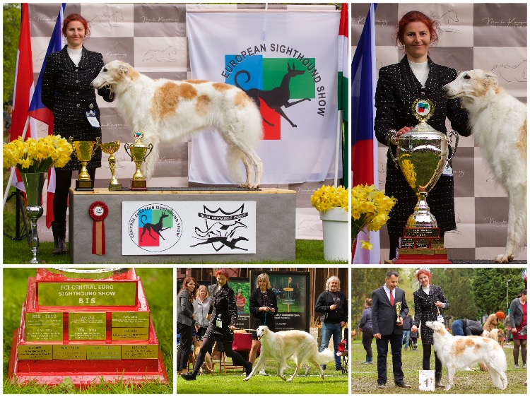 collagestredoevropa2023